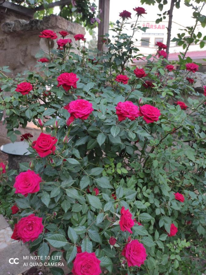 Kayhan Cave Villa Ürgüp Esterno foto